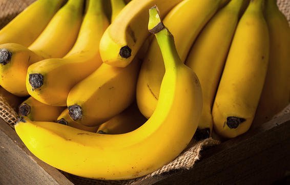 یهیود سیستم ایمنی با موز