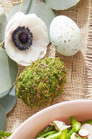 تخممرغ خزهای