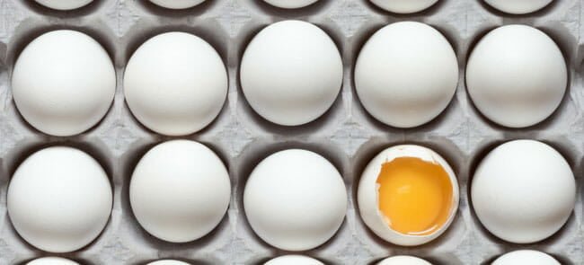 نگهداری تخم مرغ