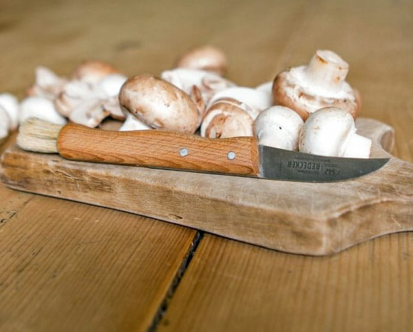 بهترین روش پخت قارچ