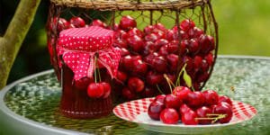 مارمالاد آلبالو