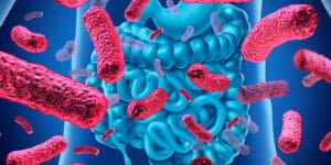 پروبیوتیک چیست