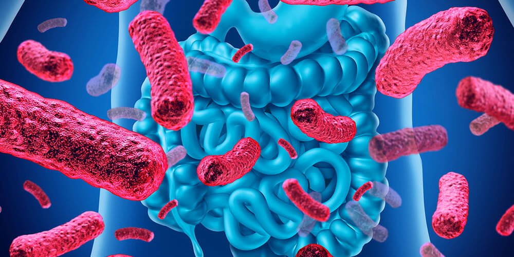 پروبیوتیک چیست