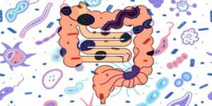 نیاز زنان به پروبیوتیک ها