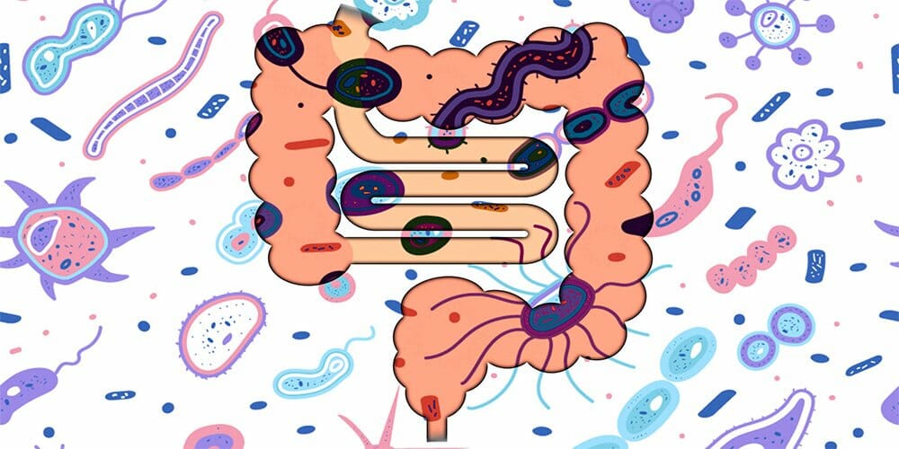 نیاز زنان به پروبیوتیک ها