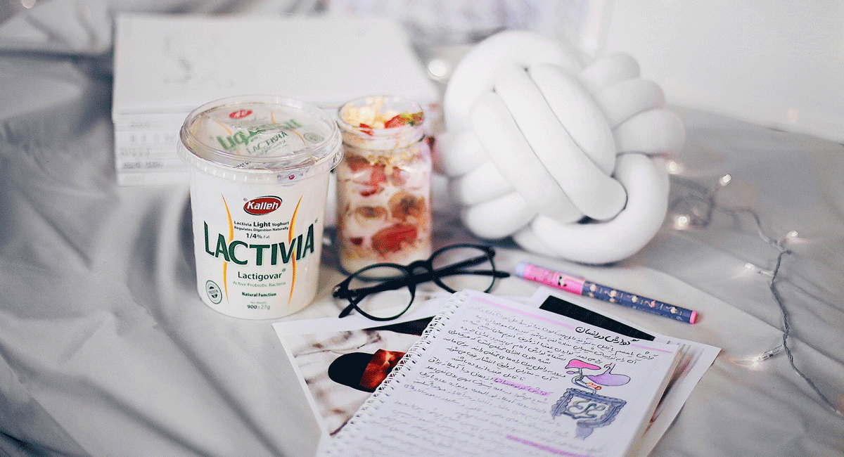 دسر با ماست لاکتیویا