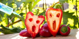 محصولات تراریخته