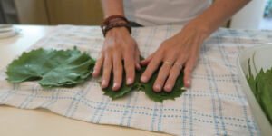 طرز تهیه شور برگ مو