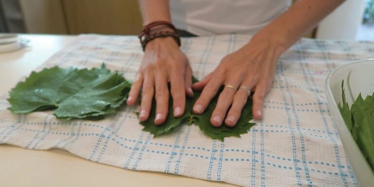 طرز تهیه شور برگ مو