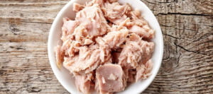 کنسرو تن ماهی