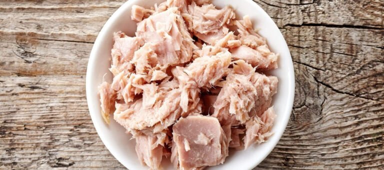 کنسرو تن ماهی