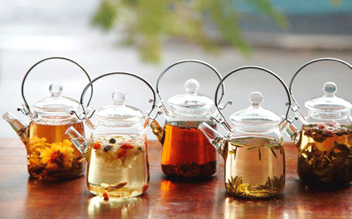 باکتریهای مفید روده