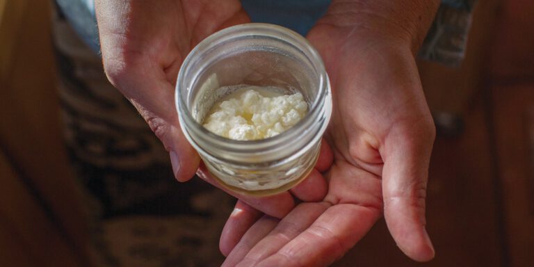 روش نگهداری از کفیر