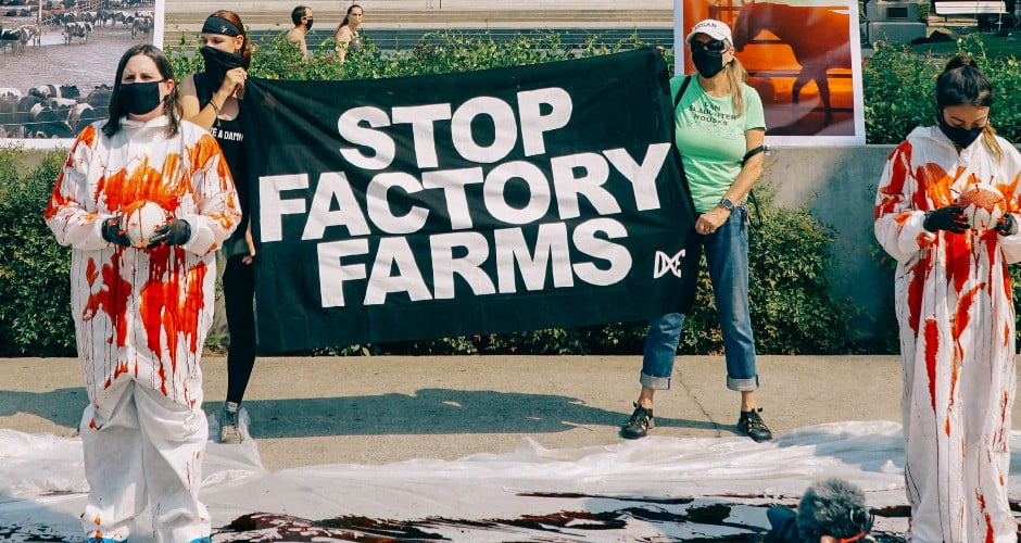 اعتراضات به خشونت با حیوانات پرورشی