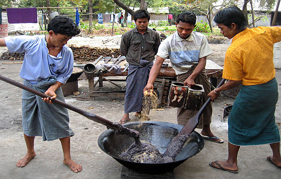 فستیوال برنج