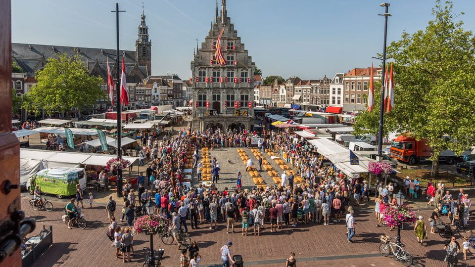 بازارهای پنیر در هلند 