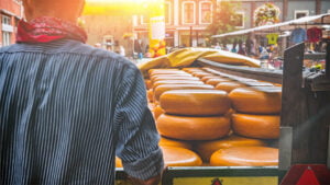 پنیر گودای هلند