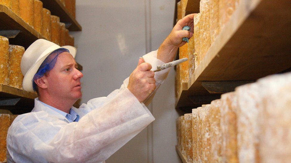 تست کردن پنیر