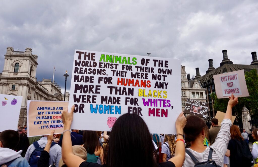 فمنیسم و گیاهخواری