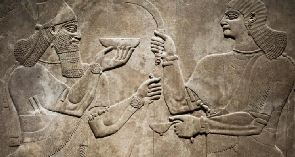 خیار شور محصولی تخمیری متولد شد