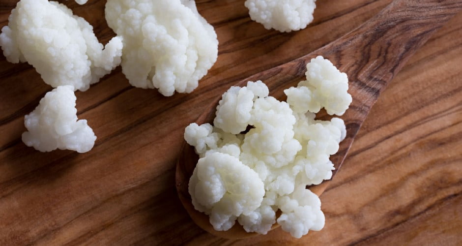 دانههای کفیر شیر