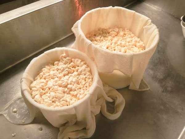 مراحل تهیه پنیر بوترکیزه 