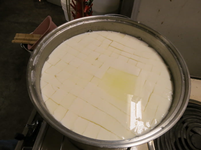 مراحل تهیه پنیر کممبر 