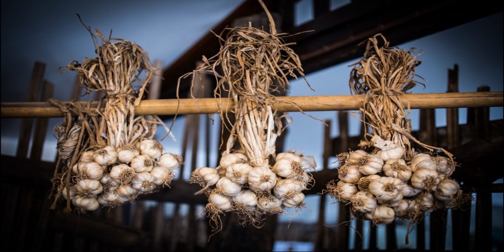 معنای نمادین سیر 