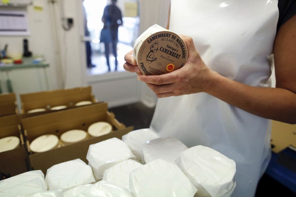 تهیه کممبر به صورت سنتی 