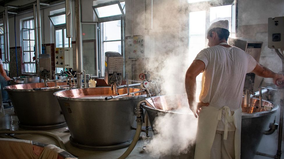 طرز تهیه پنیر پارمجانو 