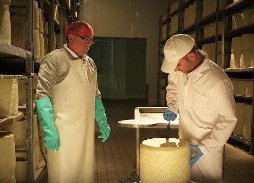 تست کیفیت پنیر رومانو