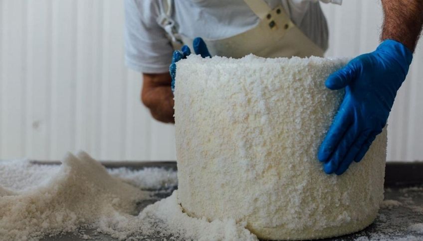 نمک مالی پنیر رومانو