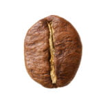 قهوه روبوستا