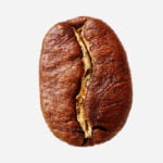 قهوه عربیکا