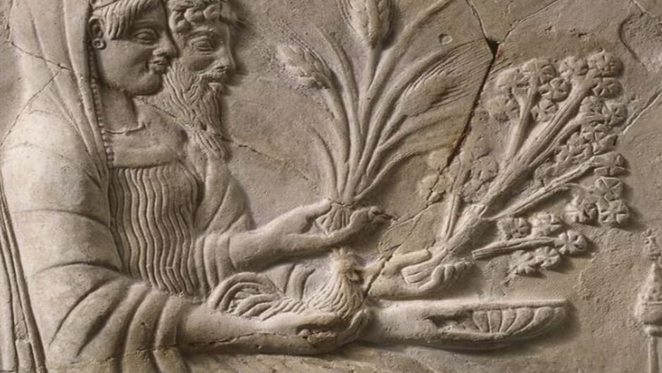 افسانه های غذایی