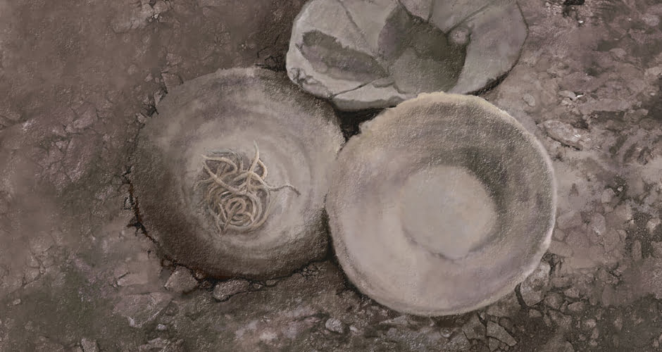 تاریخچه نودل و کاسه نودل