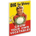 باغ آزادی و کاشت بذر آزادی