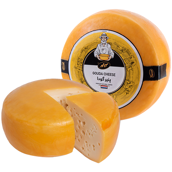 پنیر گودا