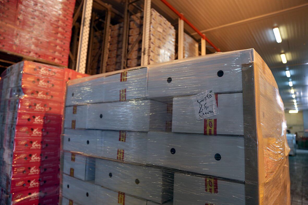 اسکورت به اولین محموله پنیرهای کاله توسط ماشین‌های روس