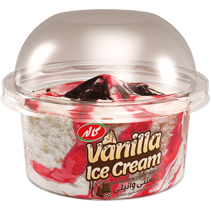 vanilla-icecream-with-chocolate-ripple