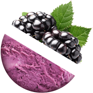 blackberry ice cream