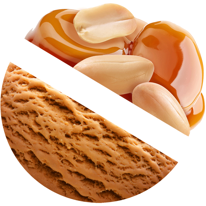 Caramel with Peanut ice cream
