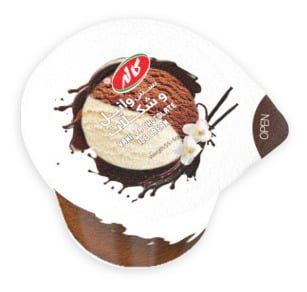 Vanilla & Chocolate icecream